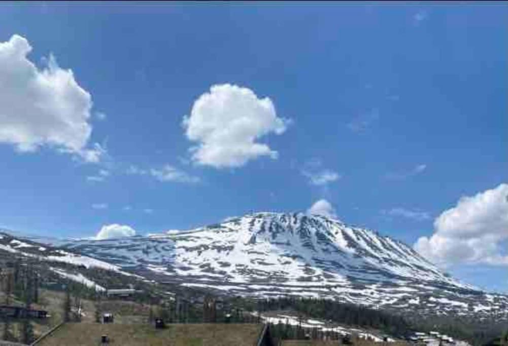 Gaustablikk - Ski In & Out Apartment - Mountain View Eksteriør bilde
